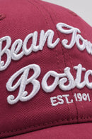 Gorra de béisbol ajustable con gráfico bordado